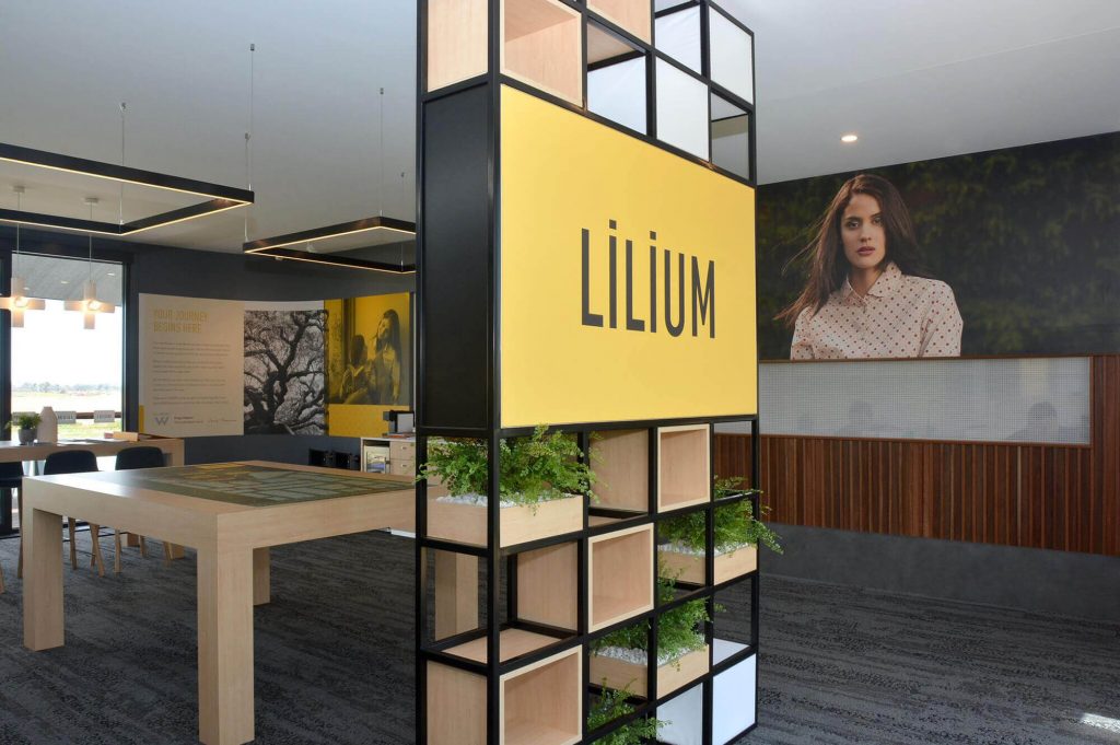 Lilium