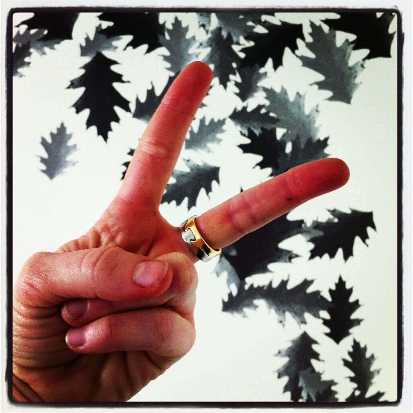 two-finger-salute two-finger-salute