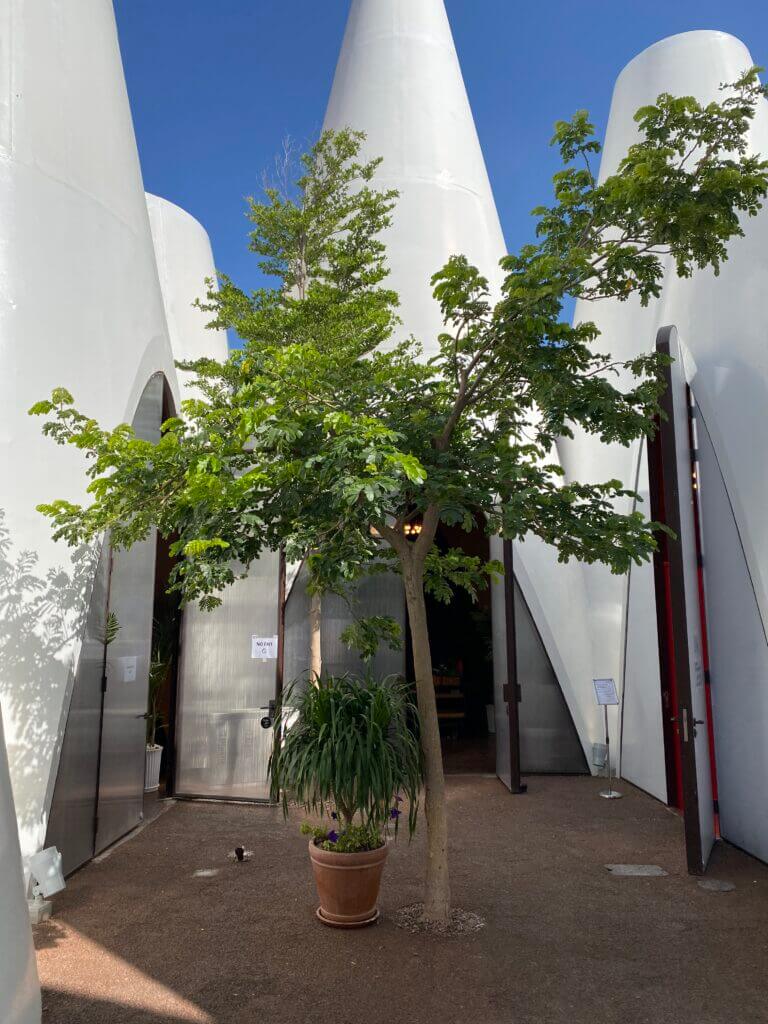 External view of the cones