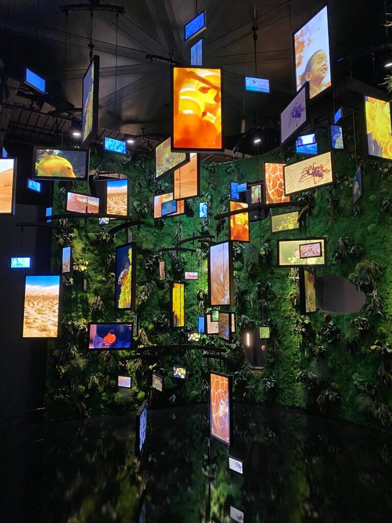 The moving forest of AV screens