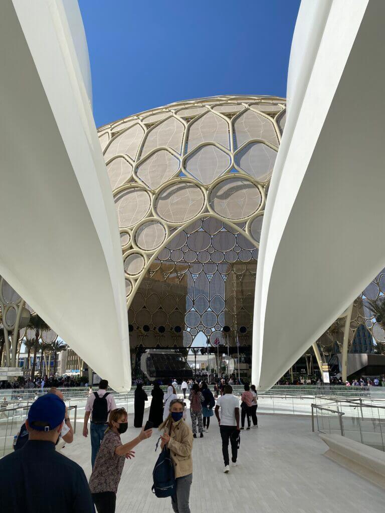 Walking through the Falcon wings