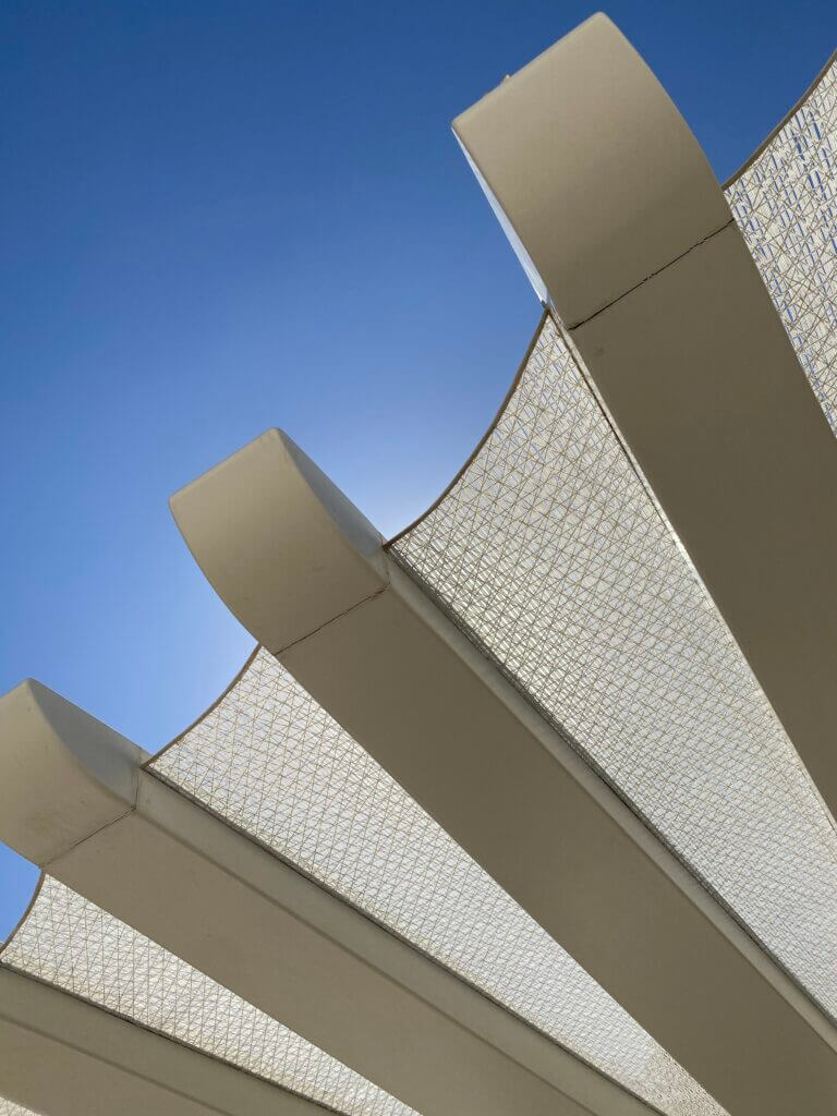 Close up view of the wings