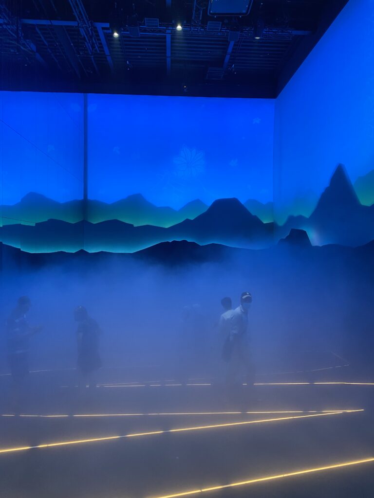 The sublime - and a little spooky - mist forest
