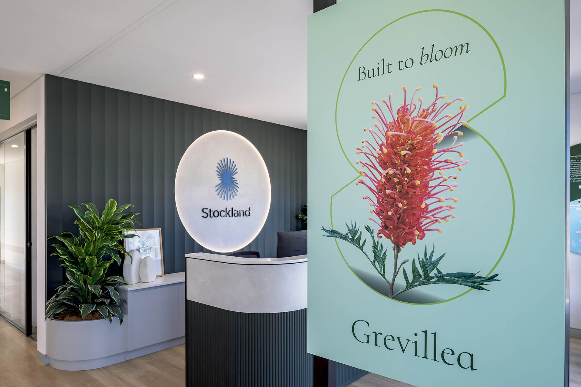 Grevillea @ Illyarrie Sales Office 6